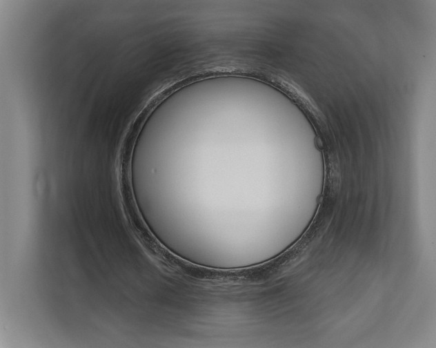 X0000112080626200908041011