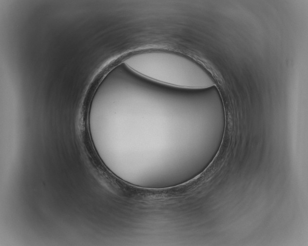 X0000112080628200908041011