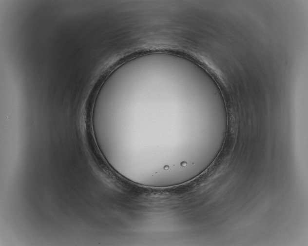 X0000112080631200908041011