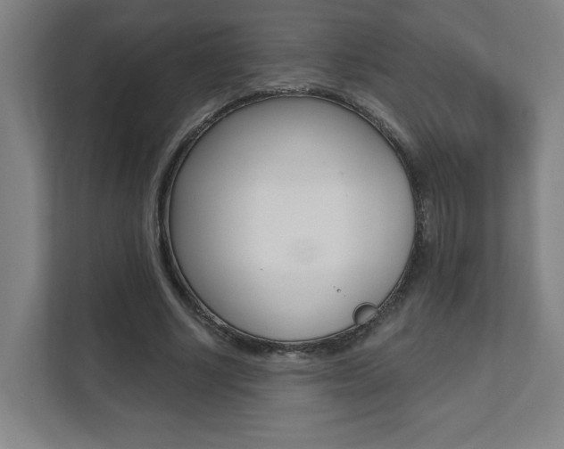 X0000112080634200908041011