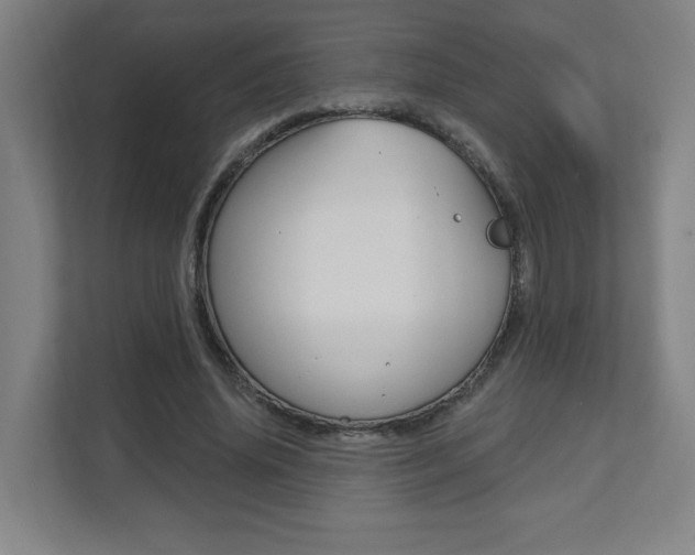 X0000112080636200908041011