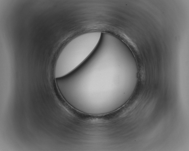 X0000112080637200908041011