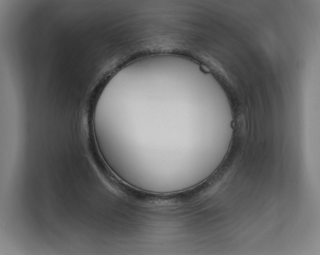 X0000112080638200908041011