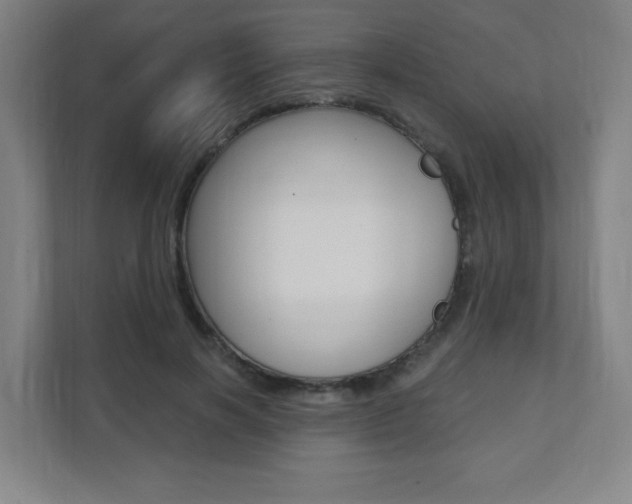 X0000112080646200908041011