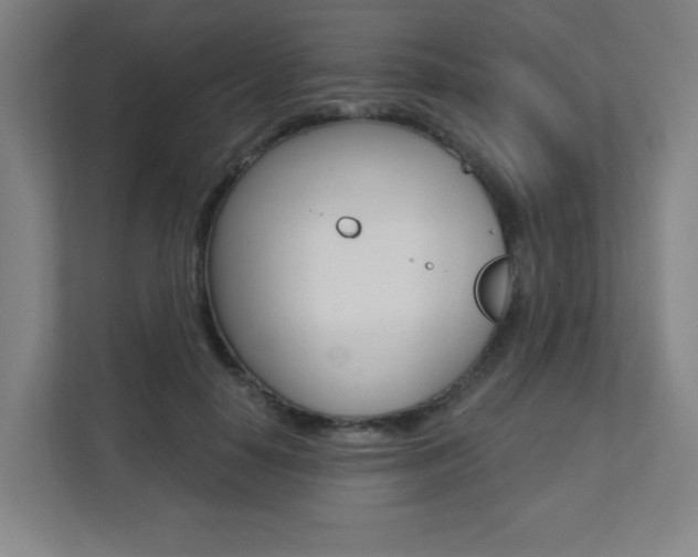 X0000112080650200908041011
