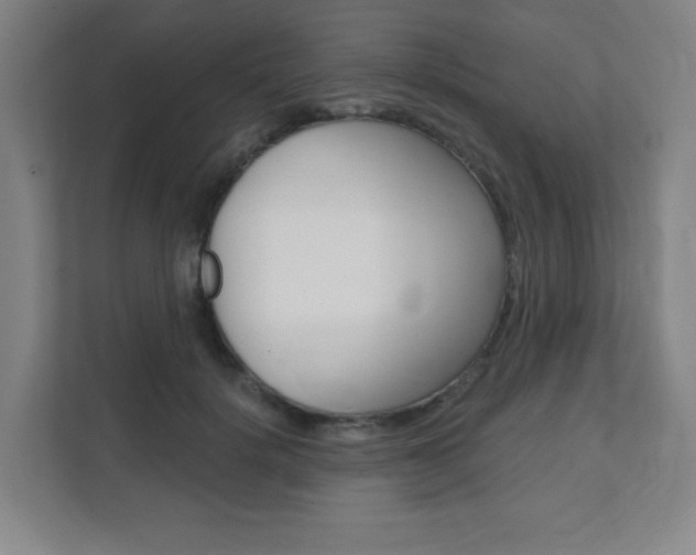 X0000112080652200908041011