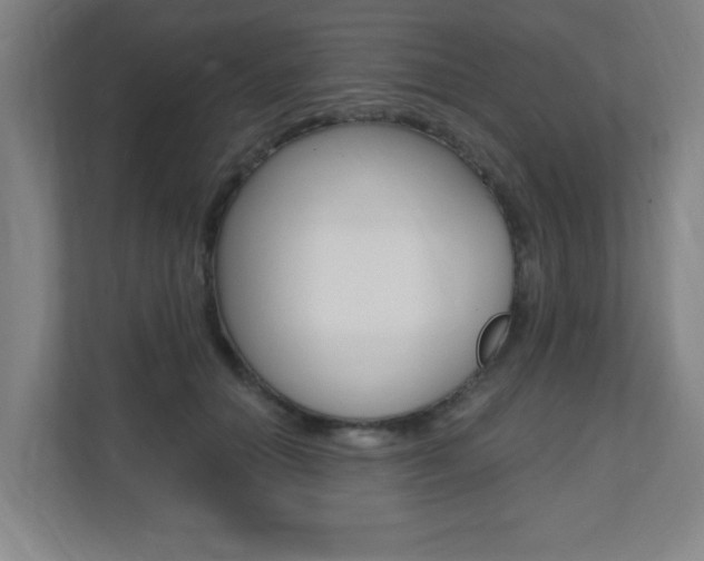 X0000112080654200908041011