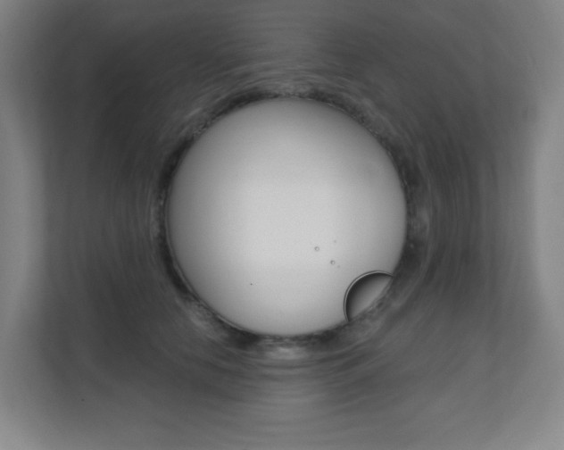 X0000112080658200908041011