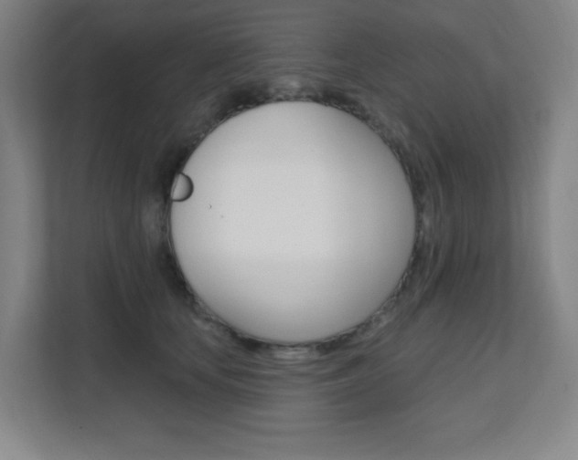 X0000112080659200908041011