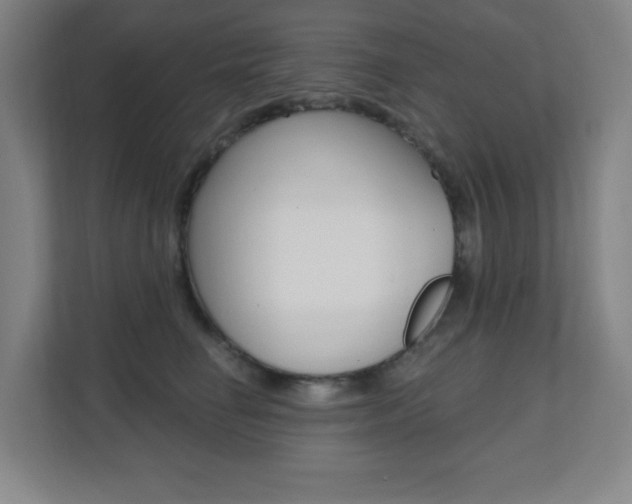 X0000112080662200908041012