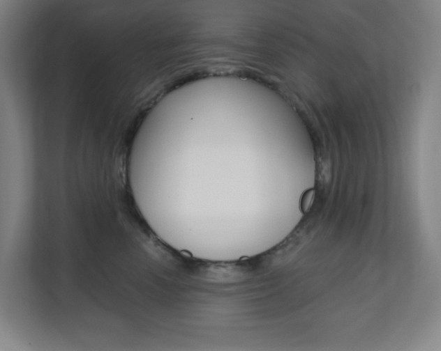 X0000112080666200908041012