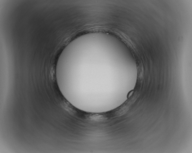 X0000112080669200908041012
