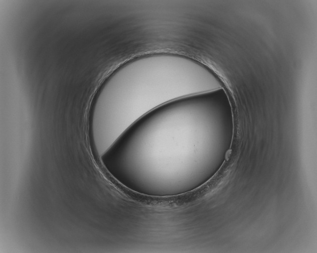X0000112080673200908041011