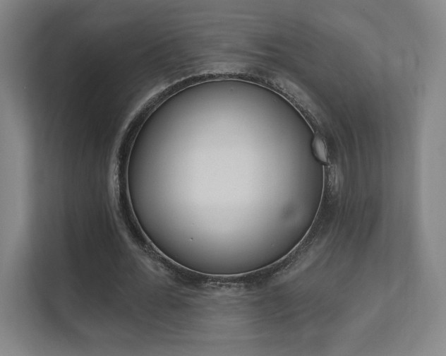 X0000112080676200908041011
