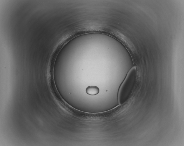 X0000112080677200908041011