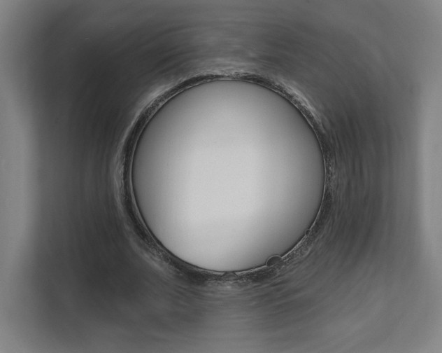 X0000112080679200908041011