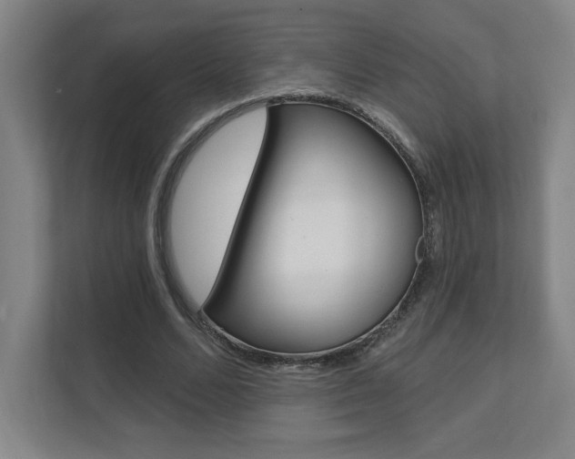 X0000112080680200908041011