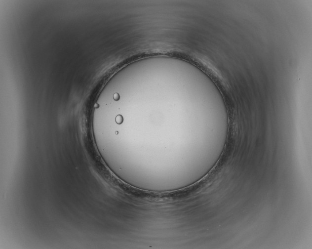 X0000112080683200908041011