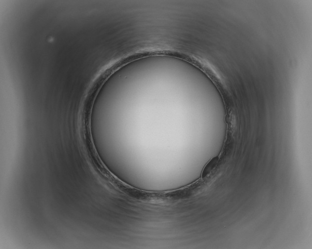 X0000112080684200908041011