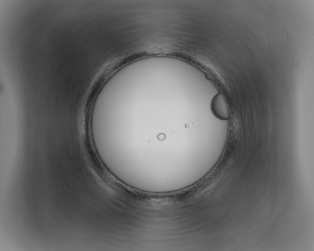 X0000112080686200908041011
