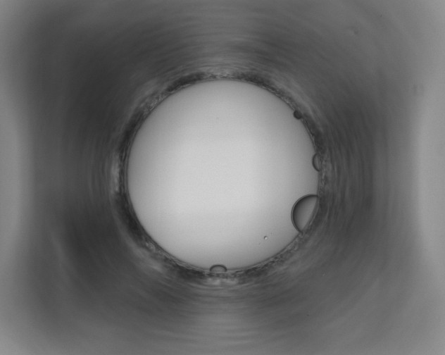 X0000112080694200908041011