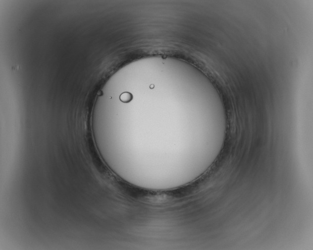 X0000112080695200908041011