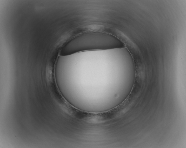 X0000112080696200908041011