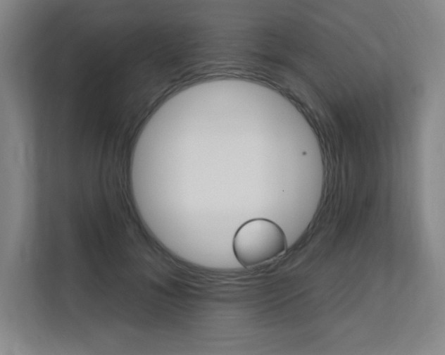 X0000112080700200908041011