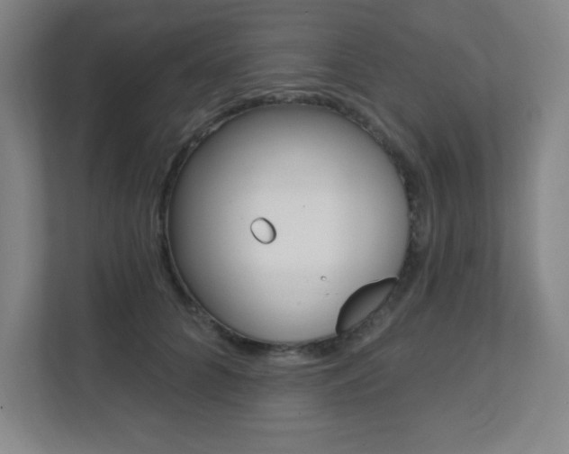 X0000112080704200908041011