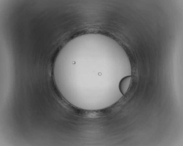 X0000112080710200908041011