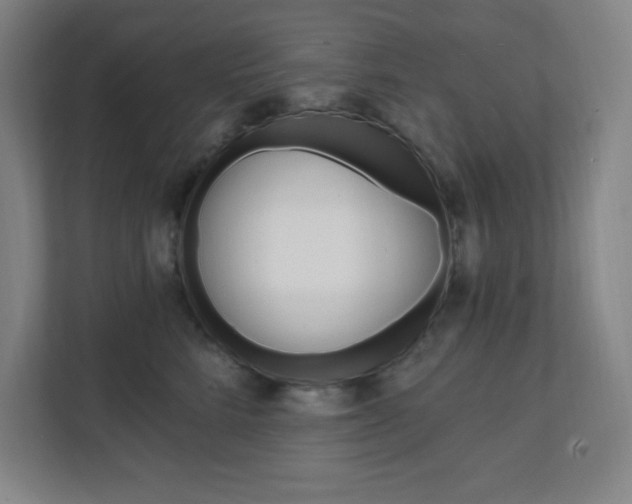 X0000112080712200908041011