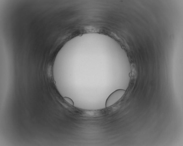 X0000112080713200908041010