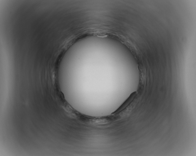 X0000112080716200908041010