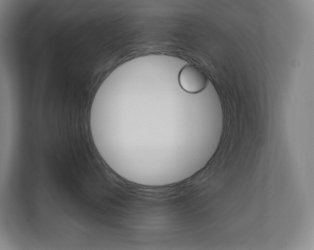 X0000112080720200908041010
