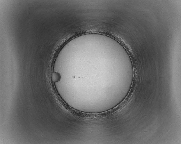 X0000112080721200908041010