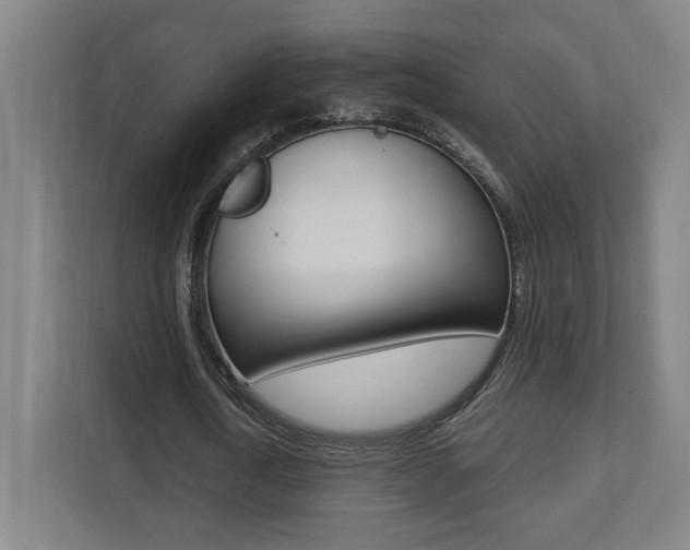 X0000112080722200908041010