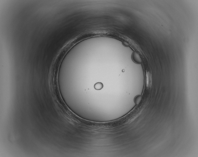 X0000112080723200908041010