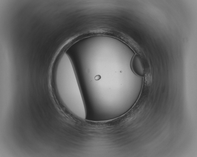 X0000112080724200908041010