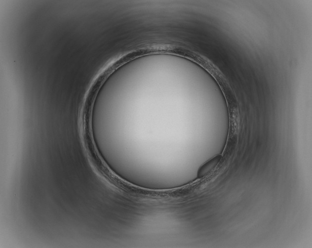 X0000112080726200908041010