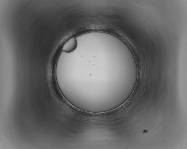 X0000112080727200908041010