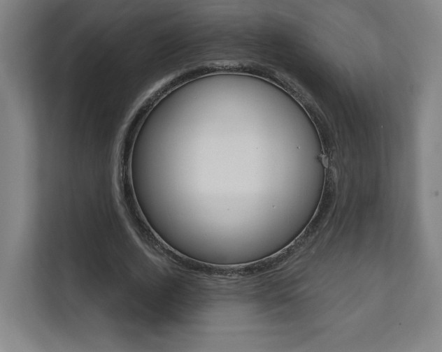 X0000112080728200908041010