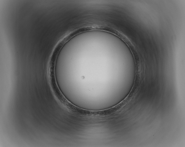 X0000112080730200908041010