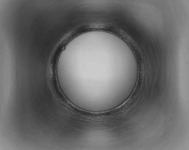 X0000112080731200908041010
