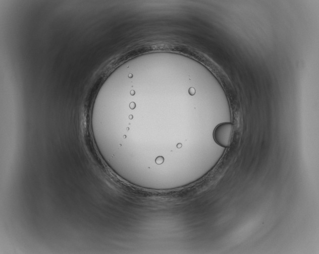 X0000112080733200908041010