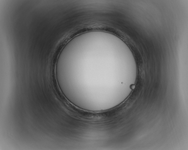 X0000112080735200908041010