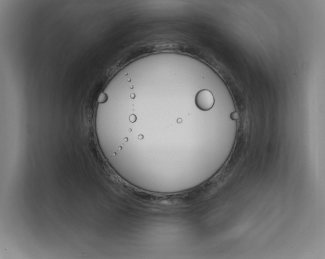 X0000112080737200908041010