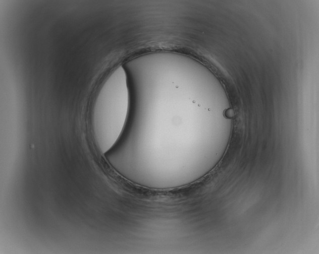 X0000112080738200908041010