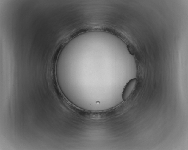 X0000112080740200908041010