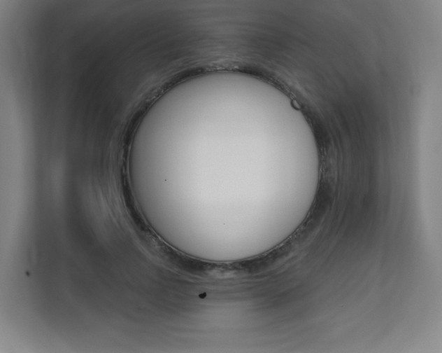 X0000112080742200908041010