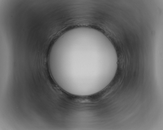 X0000112080747200908041010